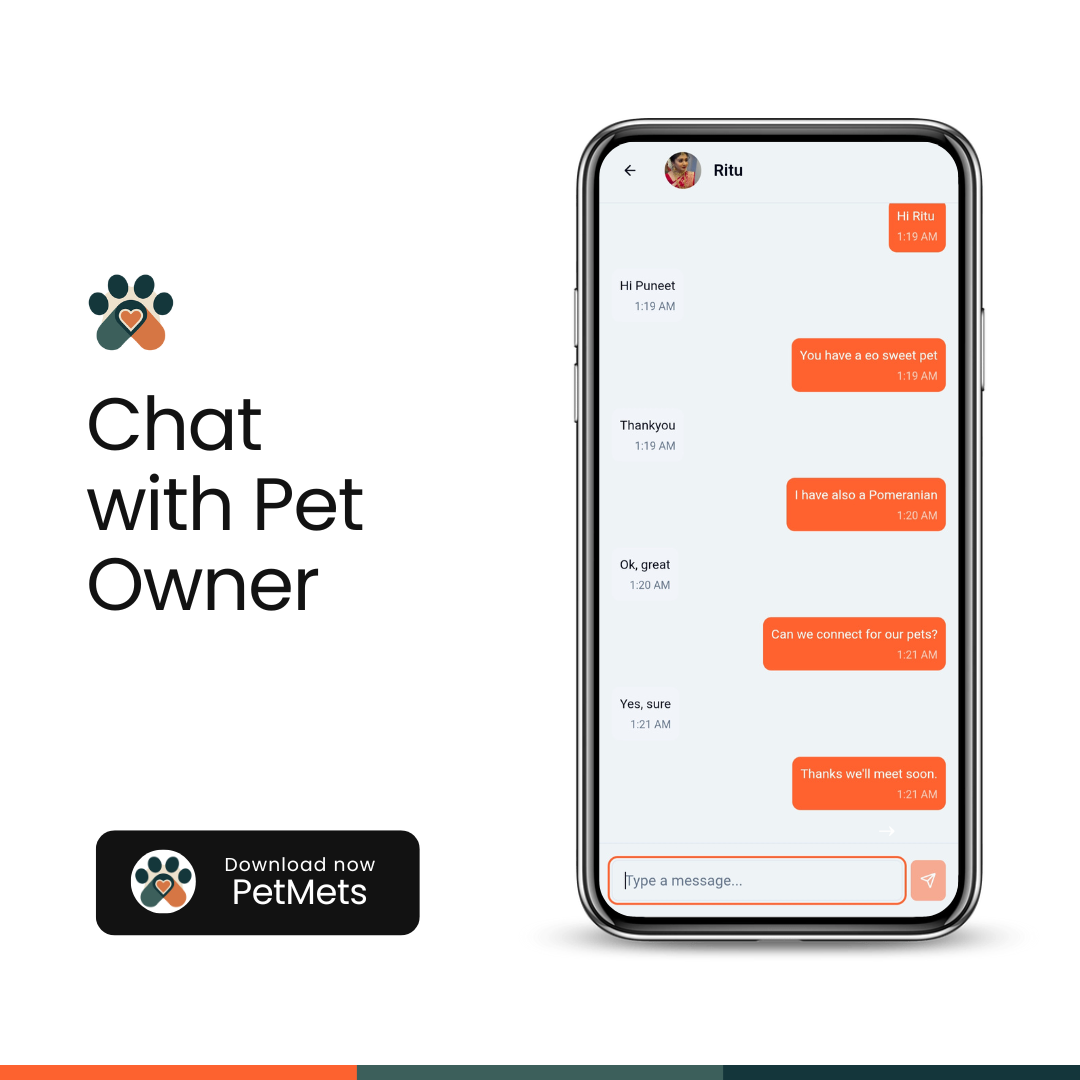 Chat interface between two pet owners
